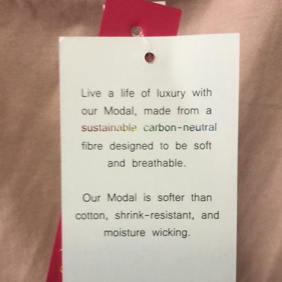 Lace Flutter Sleeve T-shirt In Blush Size 2X - Picture 4 of 5